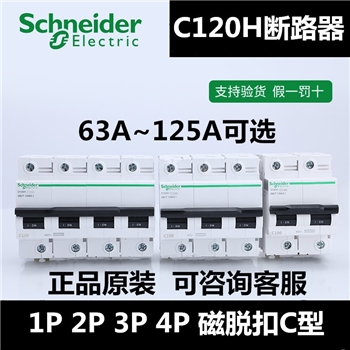 大电流断路器C120H系列2P磁脱扣C型63A~125A空气开关